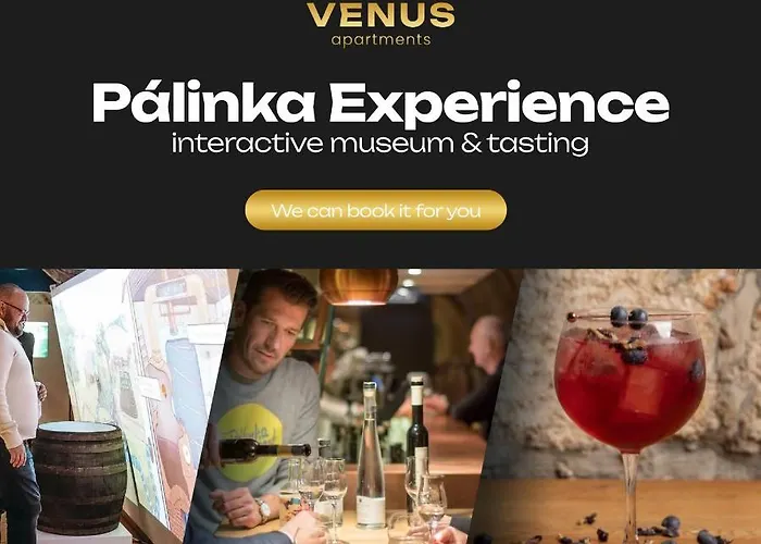 Apartment Venus - Almassy Park *