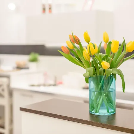 Venus - Almassy Park Appartement *